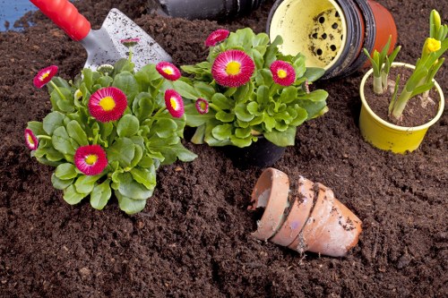 Beautiful landscaped garden in Balham with vibrant flowers and greenery