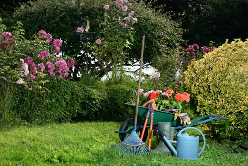 Illustration of accessible garden maintenance worker on a Balham street