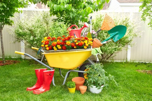Traditional English garden with well-maintained plants in Balham